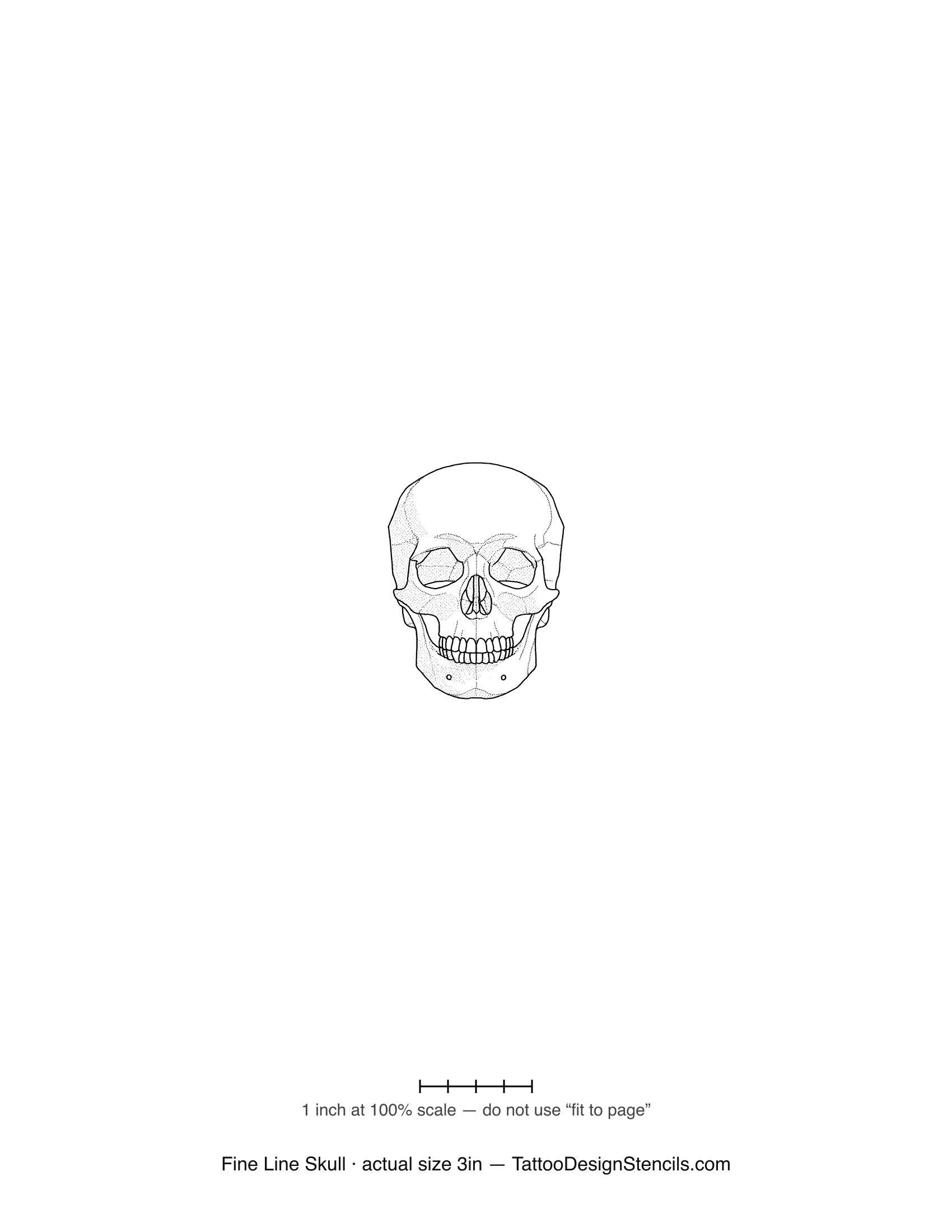 Fine line skull tattoo stencil — anatomical skull in thin outline