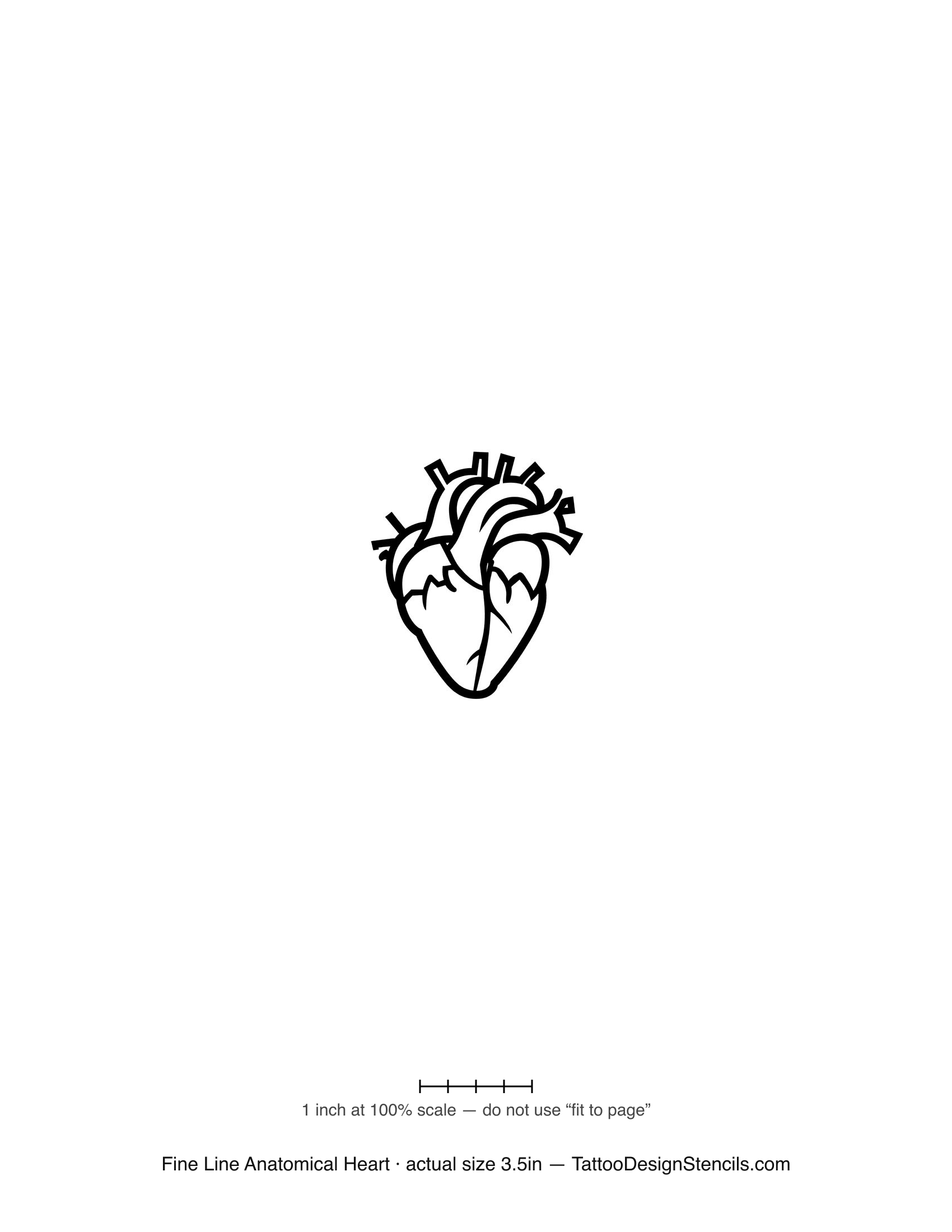 Fine line anatomical heart tattoo stencil — delicate thin-line outline