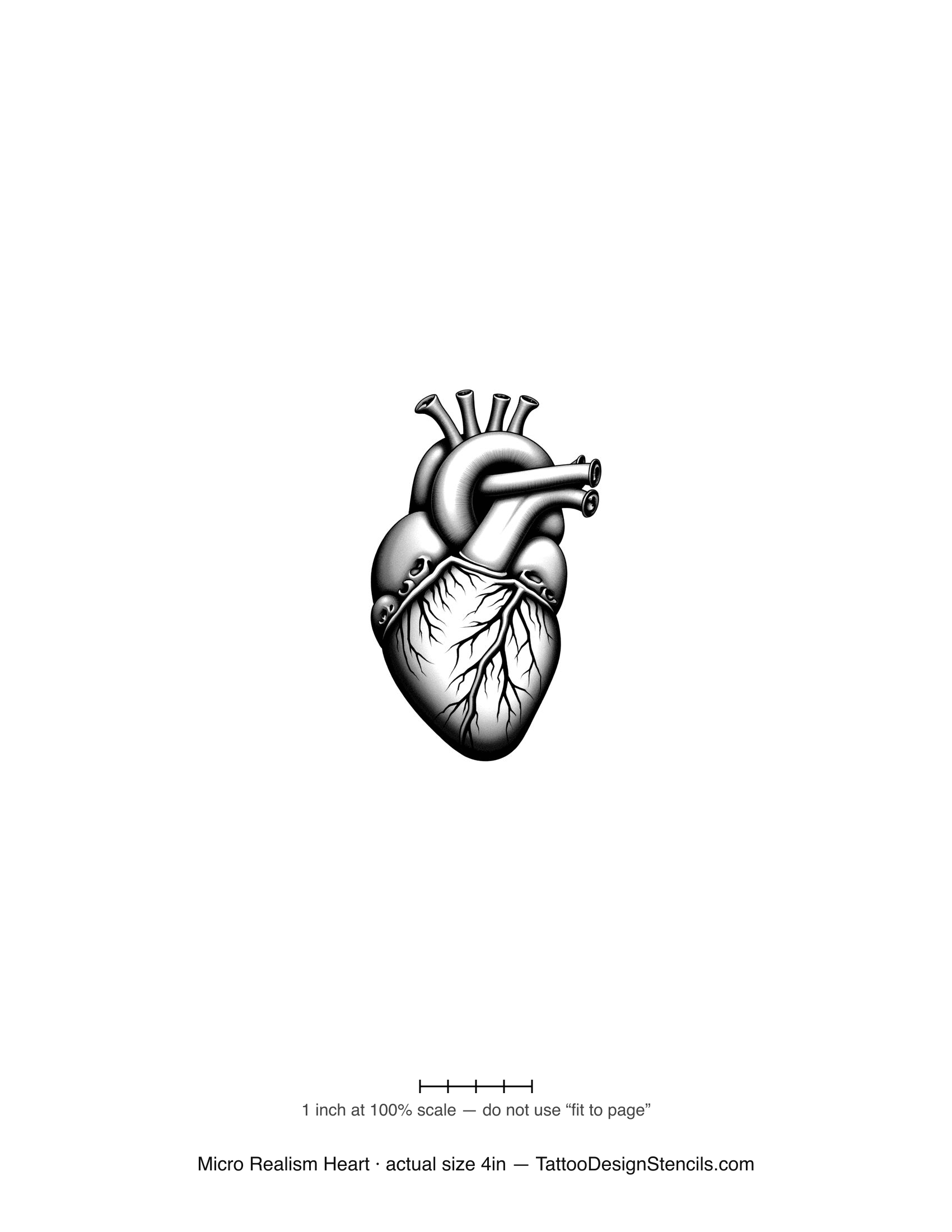 Micro realism anatomical heart tattoo stencil — photoreal vessel detail