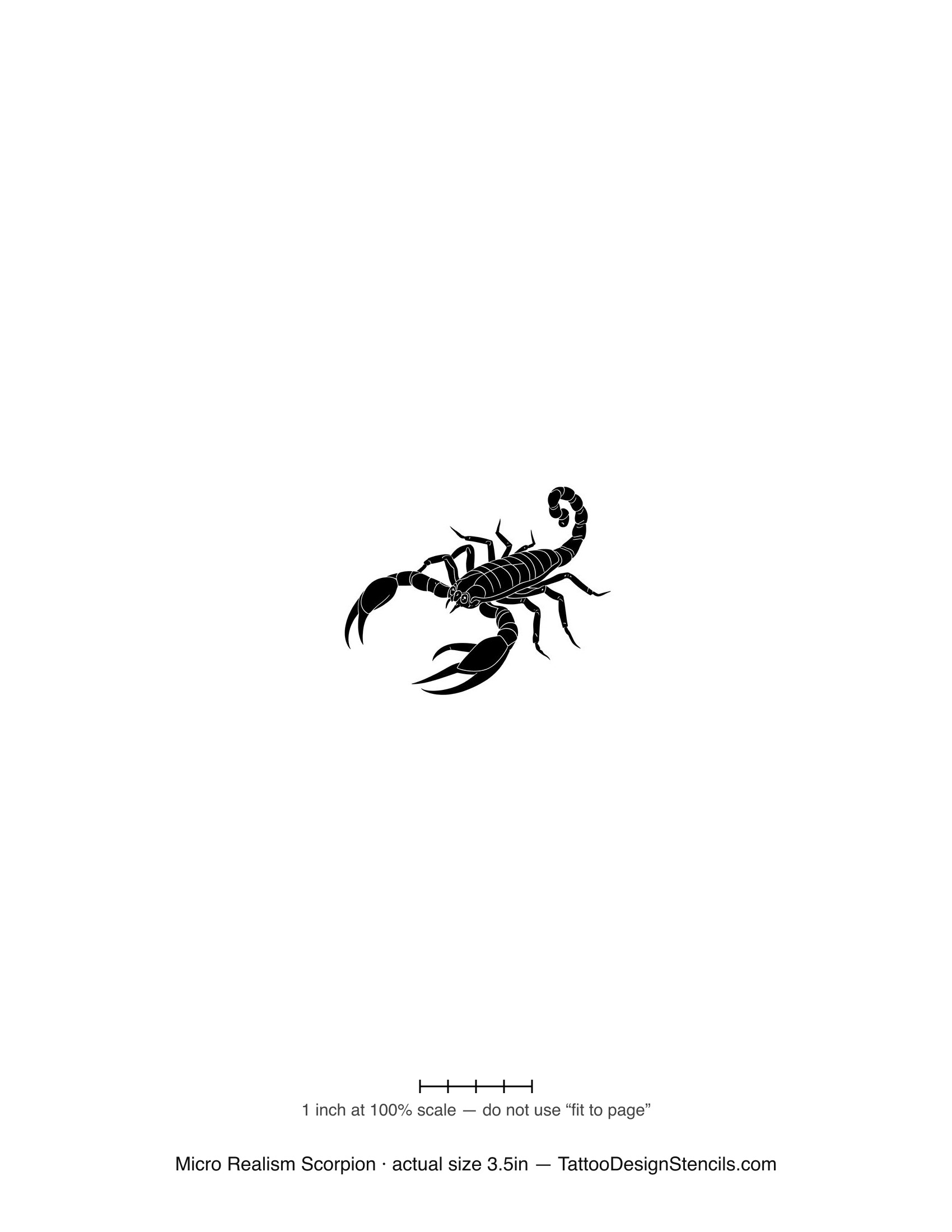 Micro realism scorpion tattoo stencil — realistic detailed scorpion